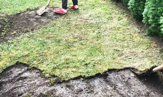 Снятие дерна старого газона в Владивостоке – от 515 руб. | 2Землекопа-Влд